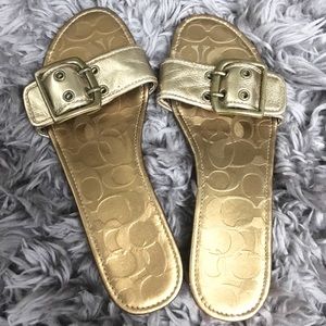 COACH Gold Buckle Slide Sandals